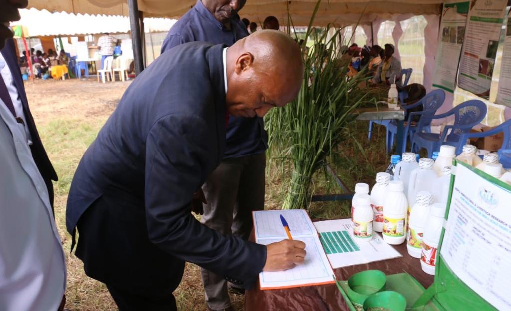 COUNTY GOVERNMENT TO SUPPORT DAIRY FARMING IN A BID TO MEET RISING DEMAND