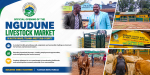 H.E. Governor Rev. Mutuma M'Ethingia Officially Opens Modern Ngudune Livestock Market in Akithi Ward